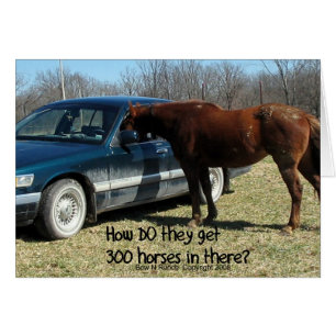 Lustiges Pferd des Pferd"300 "