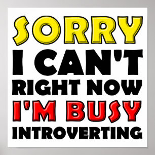 Lustiges Poster Schild für Introvertierte