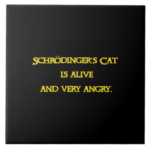 Lustiges Quanten-Dilemma - Schrödingers Katze ist Fliese