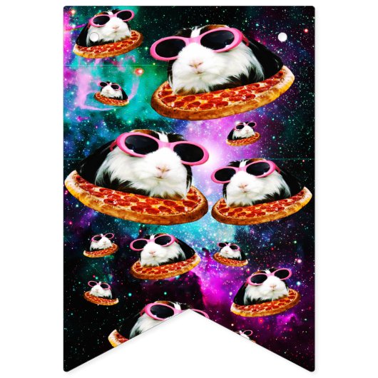 Lustiges Raummeerschweinchen Wimpelkette (Zweite Fahne)