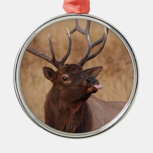 lustiges Ren Ornament Aus Metall (Vorne)