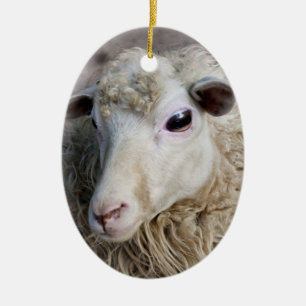 Lustiges Schaf Keramikornament