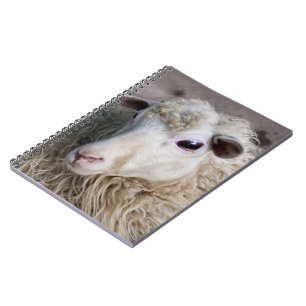 Lustiges Schaf Notizblock