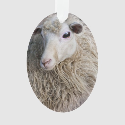 Lustiges Schaf Ornament (Vorderseite)
