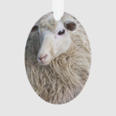 Lustiges Schaf Ornament (Rückseite)