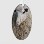 Lustiges Schaf Ornament (Vorderseite)