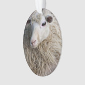 Lustiges Schaf Ornament (Vorderseite)