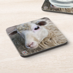 Lustiges Schaf Untersetzer
