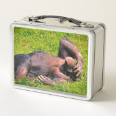 Lustiges Schimpanse-Tier Metall Brotdose (Rückseite)