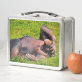 Lustiges Schimpanse-Tier Metall Brotdose (Beispiel)