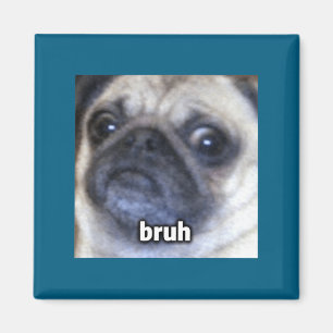 Lustiges Shirt Bruh Pug Hundegesicht Unschärfe Magnet