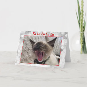 Lustiges Singendes Siamkätzchen Foto Weihnachten