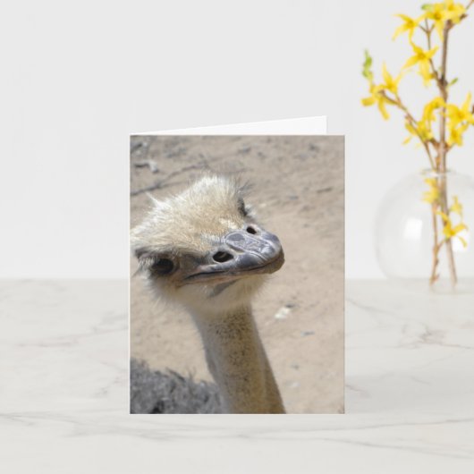 Lustiges Strauß notecard Karte (Gelbe Blume)