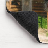 Lustiges Straußenpaar Mousepad (Ecke)