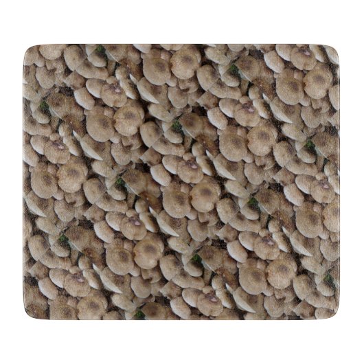 lustiges, vegulierbares Bild von frischen Knopfpil Schneidebrett (Vorderseite)