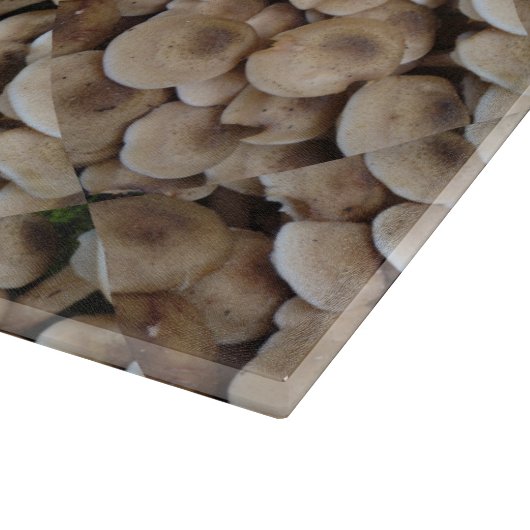 lustiges, vegulierbares Bild von frischen Knopfpil Schneidebrett (Ecke)