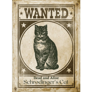 Lustiges Vintage-Steckbrief von Schrödingers Katze T-Shirt