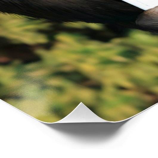 Lustiges WC Poster (Ecke)