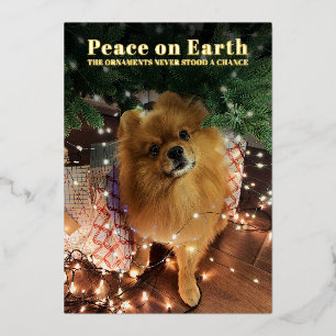 Lustiges Weihnachten Pomeranian Hund Friede auf Er Folien Feiertagskarte