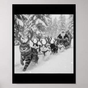Lustiges Weihnachten Santa Schlitten Katzen Rentie Poster