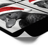 Lustiges Weihnachten Stockente Weihnachtsmann Foto Poster (Ecke)