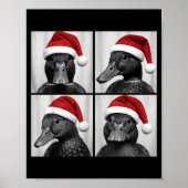 Lustiges Weihnachten Stockente Weihnachtsmann Foto Poster (Vorne)