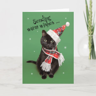 Lustiges Weihnachtskatze mit Hut und Schal Feiertagskarte