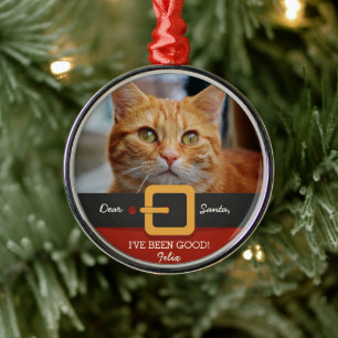 Lustiges Weihnachtssankt-Katzen-Foto und Silbernes Ornament