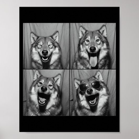 Lustiges Wolf Foto Kabine Sonnenbrille Hund Poster (Vorne)