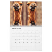 lustiges Wüstenkamel überall Kalender (Feb 2026)
