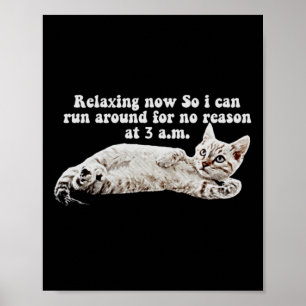 Lustiges wütendes Katzen-Meme-T-Shirt für Katzenbe Poster