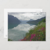 Lustrafjorden Panorama Postkarte (Vorne/Hinten)