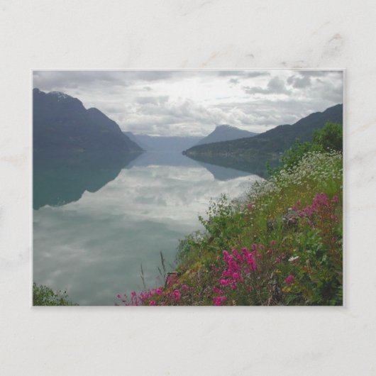 Lustrafjorden Panorama Postkarte (Vorderseite)