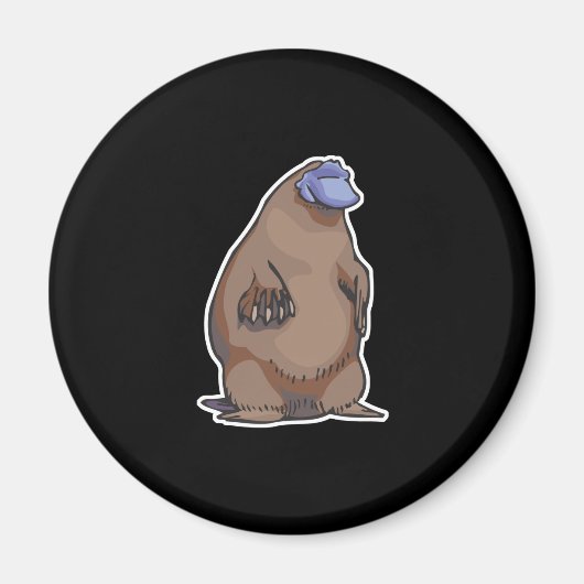 Lustschildkröte Magnet (Vorne)