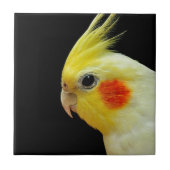 Lutino Cockatiel Fliese (Vorderseite)