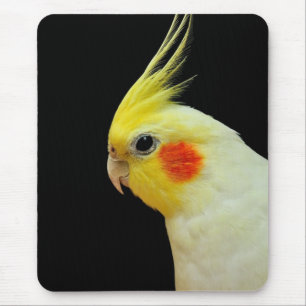 Lutino Cockatiel Mousepad