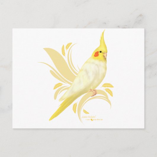 Lutino Cockatiel Postkarte (Vorderseite)