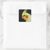 Lutino Cockatiel Quadratischer Aufkleber (Tasche)