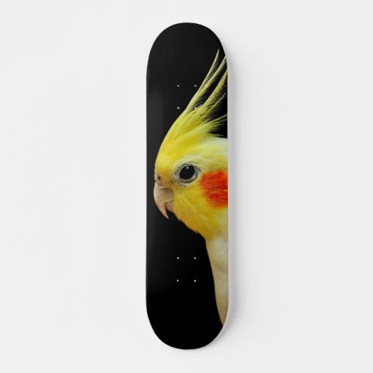 Lutino Cockatiel Skateboard (Vorne)