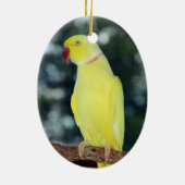 Lutino Inder Ringneck Parakeet-Natur Keramik Ornament (Hinten)