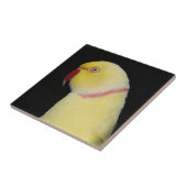 Lutino Inder Ringneck Parakeet-Pose Fliese (Seite)