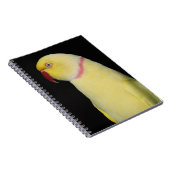 Lutino Inder Ringneck Parakeet-Pose Notizblock (Rechte Seite)