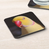 Lutino Inder Ringneck Parakeet-Schnabel Getränkeuntersetzer (Linke Seite)