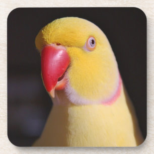 Lutino Inder Ringneck Parakeet-Schnabel Getränkeuntersetzer