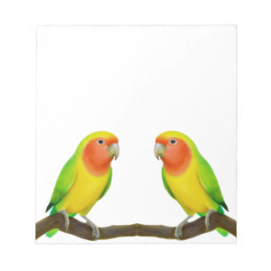 Lutino Lovebird Liebe Notepad Notizblock