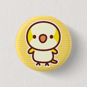 Lutino-Mönchssittich Button