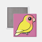 Lutino Peach-face Lovebird Magnet (Vorderseite/Rückseite)