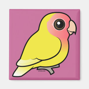 Lutino Peach-face Lovebird Magnet