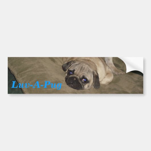 Luv-EIN-Mops Autoaufkleber (Vorne)