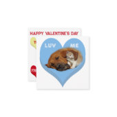 LUV ME Valentine's Critters Conversation Hearts Mitteilungskarte (Vorderseite/Rückseite Beispiel)